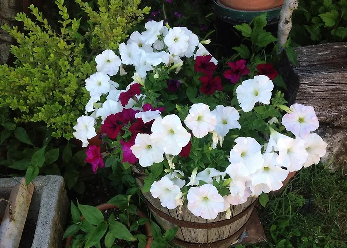 Séjour à la ferme La Collina