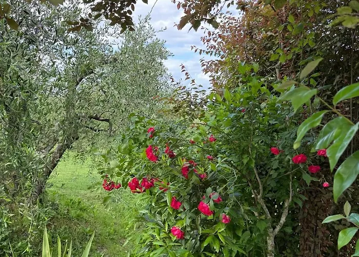La Collina Séjour à la ferme Sienne