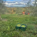 La Collina * Сиена