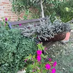 La Collina Сиена