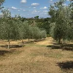 Фермерский дом La Collina *