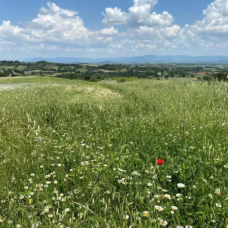 La Collina Alloggio per agriturismo