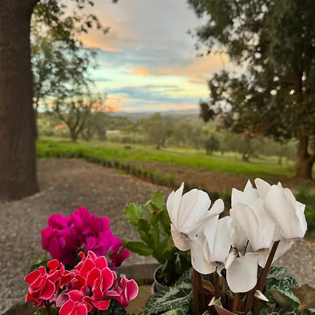 La Collina *