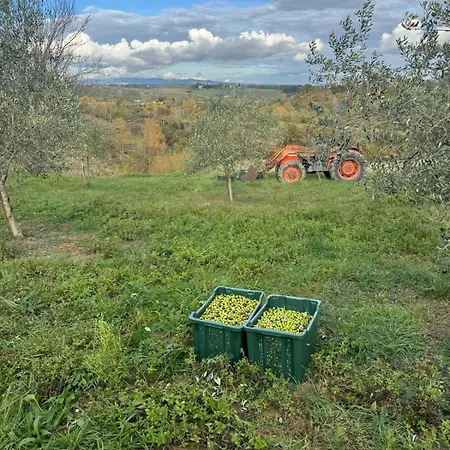 La Collina * Сієна