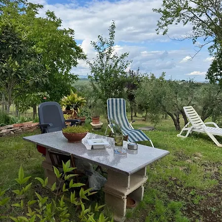 La Collina Farma *