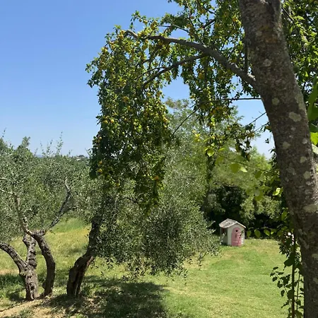 La Collina