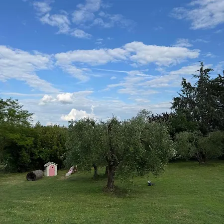 La Collina *