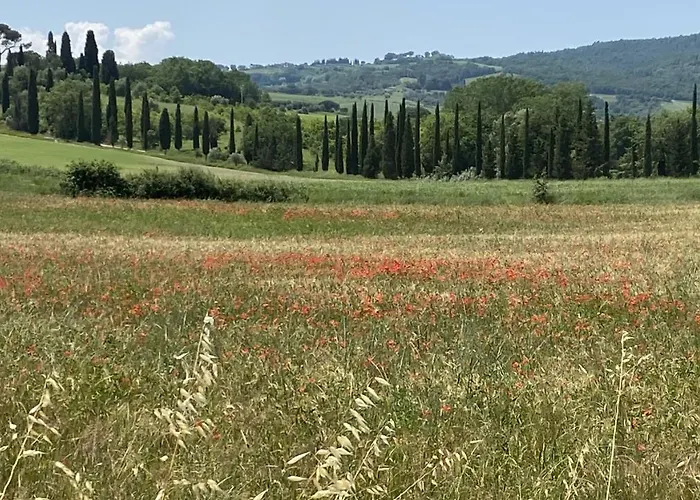 Farm stay La Collina Siena