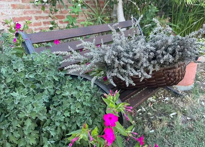 아그리투리스모 라 콜리나 시에나