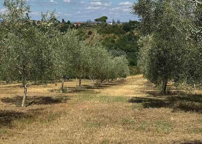 Lantgård La Collina *