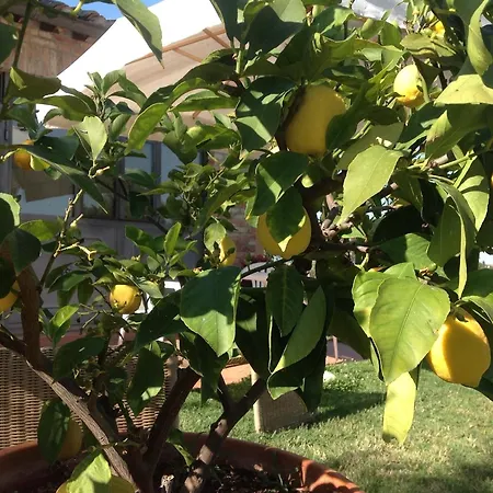 Gospodarstwo agroturystyczne La Collina