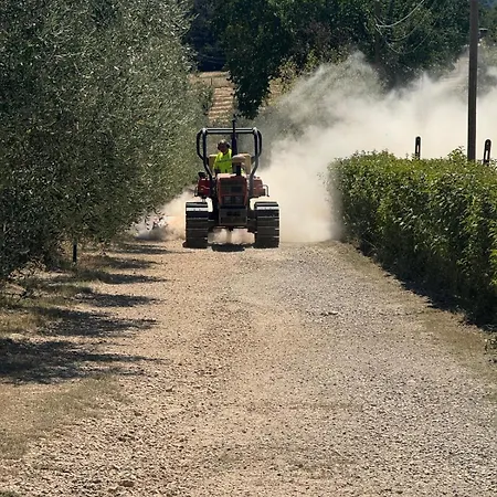 Gospodarstwo agroturystyczne La Collina