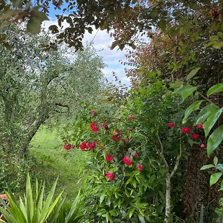 La Collina Gospodarstwo agroturystyczne Siena