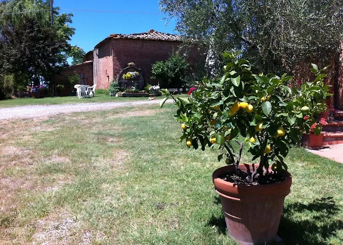 Farm stay La Collina *