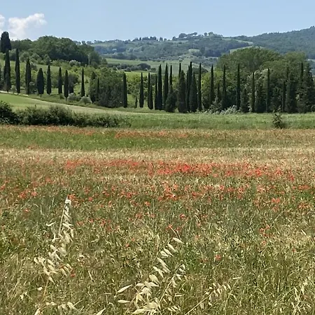 Bauernhof La Collina Siena