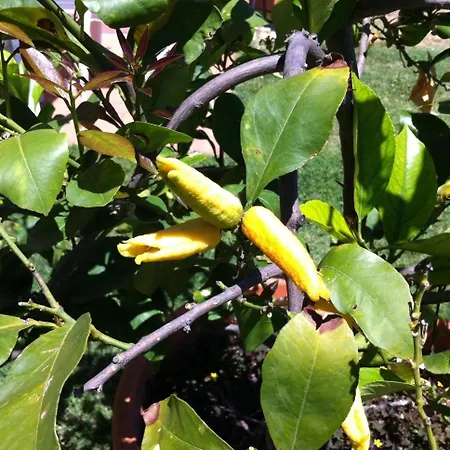 Séjour à la ferme La Collina Sienne