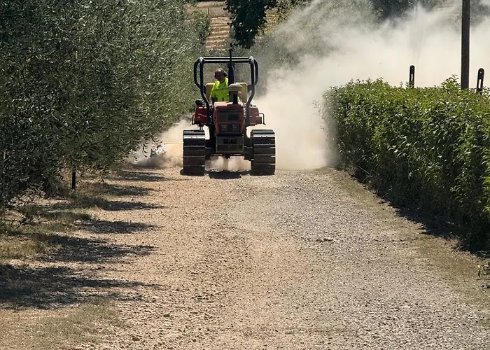 Alojamento de Turismo Rural La Collina